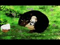 The Masterful Cat is Depressed Again Today Episode 8 Funny moment's