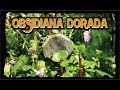 OBSIDIANA DORADA  - CARACTERISTICAS Y PROPIEDADES MAGICAS | ESOTERISMO AYUDA ESPIRITUAL