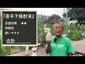 家庭菜園や農園の夏野菜栽培で放置すると被害甚大！？カメムシ対策や害虫対策とおすすめ自然農薬best３！【農家直伝】tips for pest control of summer vegetables.