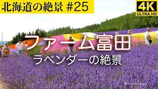 【北海道の絶景#25】ファーム富田 #ラベンダー畑 #富良野 #花畑