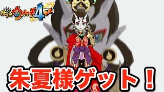 朱夏が仲間に！【妖怪ウォッチ４＋＋】新クエスト「黄昏時に桜花舞う」やってみた   Yo-kai Watch