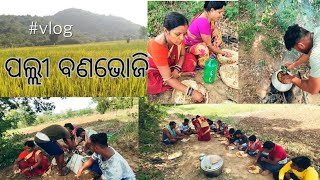 Small feast At palli (ପଲ୍ଲୀ ବଣଭୋଜି) with family ll Vlog - 17 ll @Bhatakhali @Dkvlogger