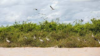 ការគាំទ្ររបស់អូស្រា្ដលី ក្នុងការផ្គត់ផ្គង់ទឹកស្អាតប្រកបដោយនិរន្ដរភាពនៅកម្ពុជា