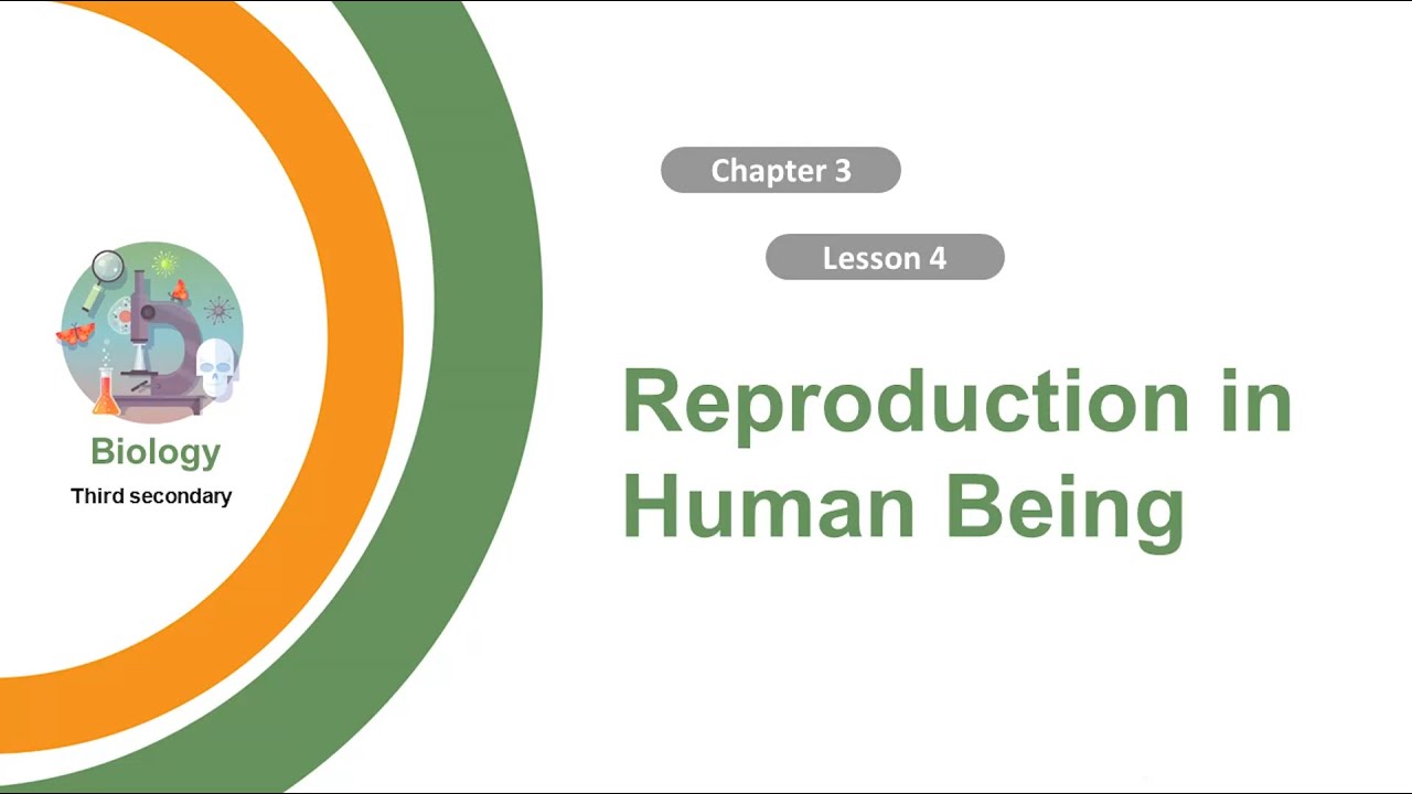 Unit 1 - Chapter 3 - Lesson4 - Reproduction In Human Being - YouTube