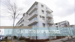 保証人、礼金、手数料不要♪｜UR高の原駅東第2団地 15号棟　102号室　★奈良の賃貸MARUWA｜株式会社丸和不動産 ＃奈良の賃貸 #MARUWA