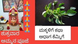 ಮಕ್ಕಳ ಕೆಮ್ಮು,ಬಂದಾಗ,ಕಫ ಕಟ್ಟಿದಾಗ.  ಅಮ್ಮನ ಪೂಜೆ #savitha kannada vlog