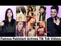 Indian Reaction On Pakistani Famous Actresses Tik Tok Videos | Iqra Aziz, Aiza, Alizeh Etc