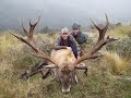 New Zealand Red Stag & Bull Tahr Hunting with New Zealand Safaris