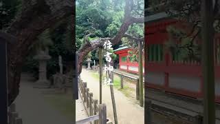 住吉神社 #金運 #神社 #歴史 #shrine #travel #開運