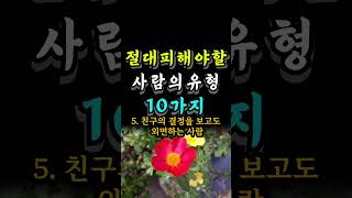 절대 피해야 할 사람의 유형 10가지 #자기계발 #오늘의명언 #지혜