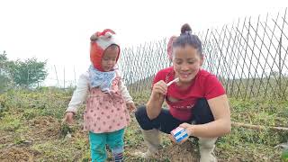 Yen Nhi planted melon in the first house and cleaned around the house