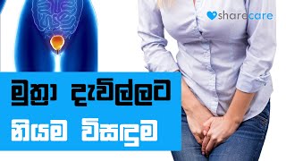 Perfect solution for urinary inflammation | මුත්‍රා දැවිල්ලට නියම විසඳුම