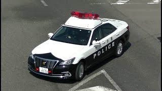 パトカー緊急走行【51】大阪府警・西堺警察署　信号無視取締り【Japanese Police car】