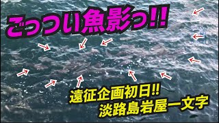 【淡路島】ごっつい魚影！冬なら美味しいアイツが大量発生！岩屋渡船