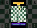 kombinasi perwira minor yang aduhai #chess #caturgambit #chessgame #gamecatur #chesscom #pembukaan