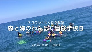 夏の森と海のわんぱく冒険学校2015Ｂ（ネコのわくわく自然教室・2015/08）