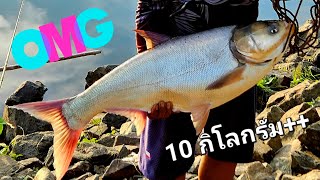 แจกสูตรเหยื่อตกปลาจีน #fishing #ตกปลา #ตกปลาหน้าดิน