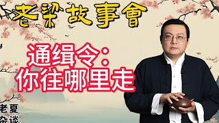 《老梁故事會》【追捕罪惡】揭秘通緝令背後的故事：從傳統到創新，如何利用懸賞和社會力量捕捉逃犯？#老梁故事会#梁宏达#老夏杂谈#通緝令背後 #懸賞追捕 #犯罪分子抓捕 #社會力量 #公安懸賞