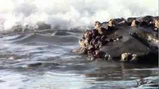 The Kooks Seaside [HD 1080P]