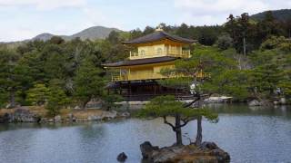 京都 - 二條城, 清水寺, 伏見稲荷大社参集殿, 金閣寺, 嵐山, 竹林