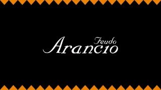 Feudo Arancio Vineyards \u0026 Winery