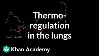 Thermoregulation in the lungs | Respiratory system physiology | NCLEX-RN | Khan Academy