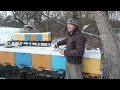 made device for better wintering of bees for pennies