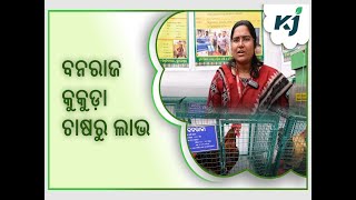 ବନରାଜ କୁକୁଡ଼ା ଚାଷରୁ ଲାଭ କମାନ୍ତୁ l ODISHA  l OUAT  l FARMER FAIR  l BANRAJ  l ANIMAL \u0026 HUSBANDRY