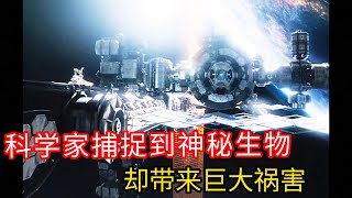 科学家抓了太空生物当宠物，没想到竟带来巨大灾难，最后付出了惨痛的代价#解说 #電影 #剧情