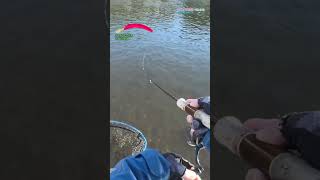 【AREA TROUT FISHING】 2024Part714