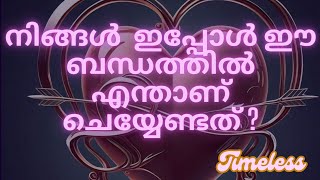 ✨പരസ്പര സ്നേഹവും ബഹുമാനവും നിങ്ങൾക്ക് ആകർഷിക്കാം✨❤️#tarot #love #future #reunion #relationship