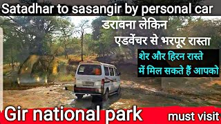 Gir national park | Satadhar to sasan gir jungle road |