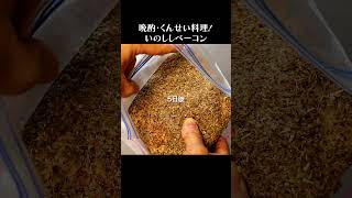 1.5㎏冬の猪バラ肉でベーコン-食べる前に要加熱処理 #shorts #ジビエ