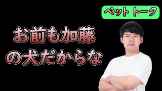 ゆゆうた、視聴者とじゃれあう【2023/8/2】