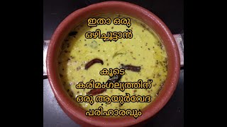 ഇതൊരു ഒഴിച്ചൂട്ടാനാ ട്ടോ.. ട്രൈ ചെയ്യൂ, ഇഷ്ടാവും, തീർച്ച|മഠത്തിലെ രുചി|