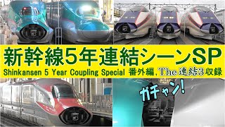 新幹線連結映像5年間コレクション Shinkansen 5 year coupling collection