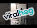 Kitty Grooms Canine Friend || ViralHog