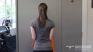 UPPER BACK/SHOULDER EXERCISE: Resisted Shoulder Blade Squeezes