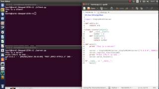 Python 18 - XML-RPC: Register Instance