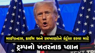 ડોનાલ્ડ ટ્રમ્પ પોતાને જો સત્તા મળે તો કંઈક એવું કરવા માગે છે જે અમેરિકન્સે આજદિન સુધી નથી જોયું