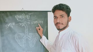 ଶ୍ୱାସକ୍ରିୟା (ବିଜ୍ଞାନ)