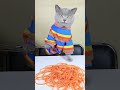 Oddly Satisfying Video To Reduce Your Stress😴😺| Cat TikTok Challenge #funnycat #catsoftiktok #shorts