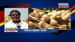 Jajpur: Women Self-Sufficient By Sunflower Farming