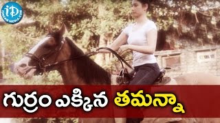 Tamannaah Learns Horse Riding For Baahubali 2 || S S Rajamouli | Prabhas | Rana | Anushka