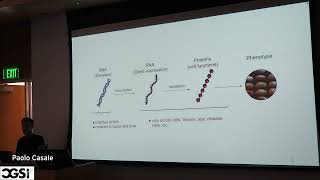 Francesco Paolo Casale | Computational Analysis of Liver Whole slide Images Empowers Genomic Analyse