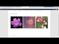 Royal Image Hover Effects Wordpress Plugin Video Tutorial - (How to Use)