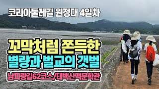 코리아둘레길 남파랑길 걷기 원정대 5편: 남파랑길 4일차(62코스)