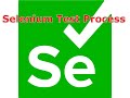 Selenium Test Process | Selenium, Java, and TestNG | G C Reddy |