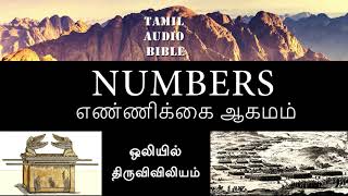 எண்ணிக்கை அதிகாரம் 26 Numbers Chapter 26 தமிழ் கத்தோலிக்க திருவிவிலியம் Tamil Catholic Audio Bible