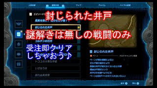 【ゼルダの伝説totk】 封じられた井戸　ゲルドキャニオン馬宿ペーン受注　（ネタバレ注意